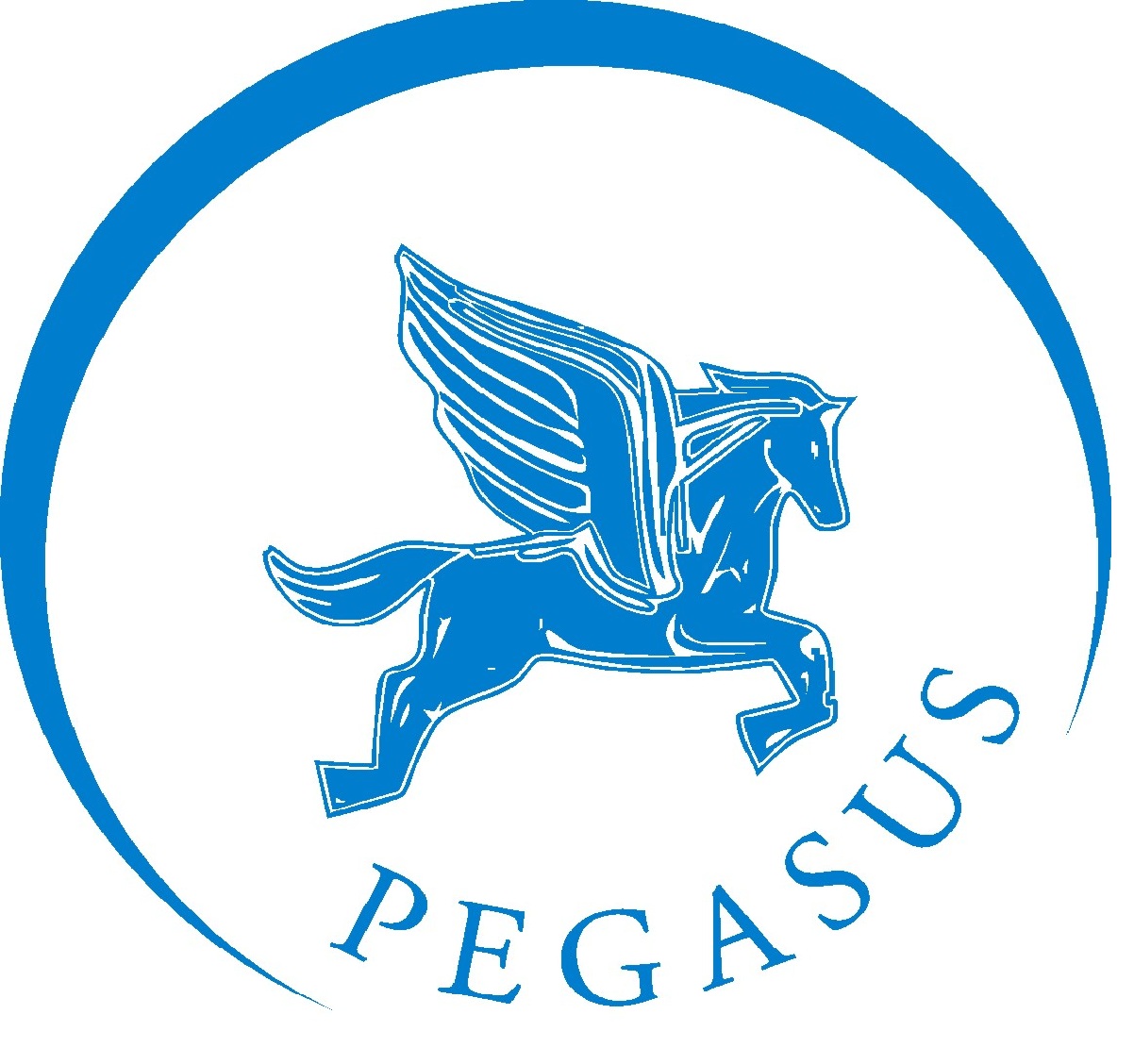 Pegasus Transport Service Inc.
